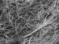 TruSpin推出硅纳米纤维 提高锂离子电池功率