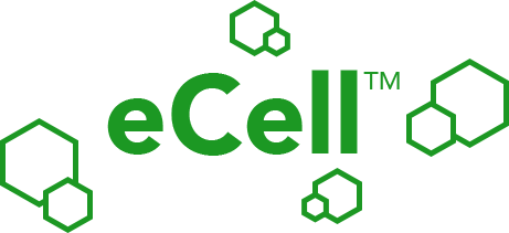 前瞻技术，eCell微孔硅阳极电池材料,电池架构