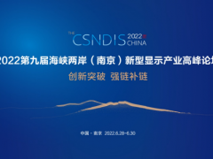 2022第九届海峡两岸（南京）新型显示产业高峰论坛·6月28-30日与您重聚南京！